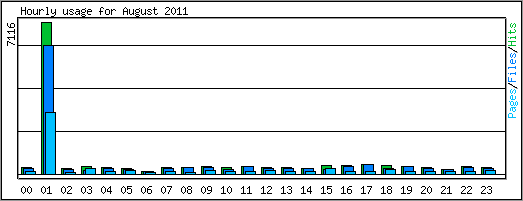 Hourly usage