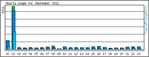 Hourly usage