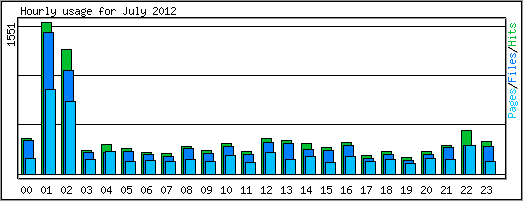 Hourly usage