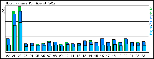 Hourly usage