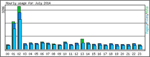 Hourly usage