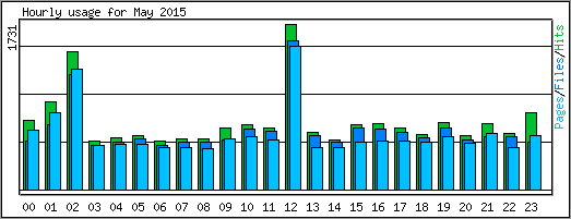 Hourly usage