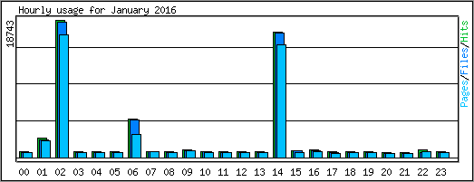 Hourly usage