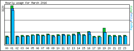 Hourly usage