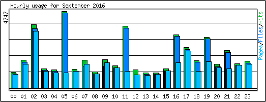 Hourly usage