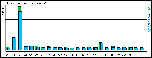 Hourly usage