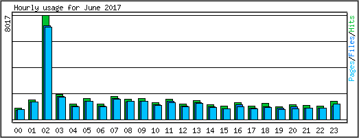 Hourly usage