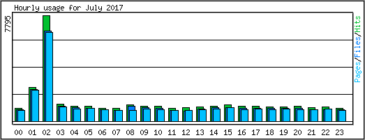 Hourly usage