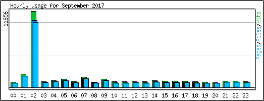 Hourly usage