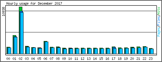 Hourly usage