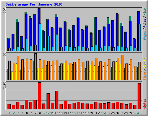 Daily usage for January 2010