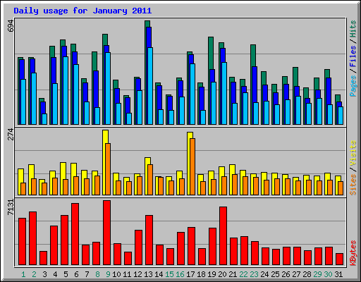 Daily usage for January 2011