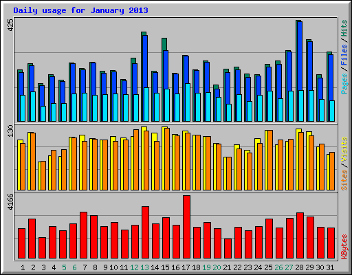 Daily usage for January 2013