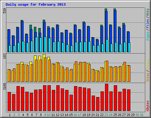 Daily usage for February 2013