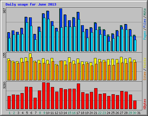 Daily usage for June 2013