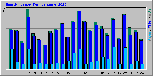 Hourly usage for January 2010