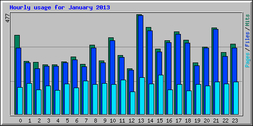 Hourly usage for January 2013