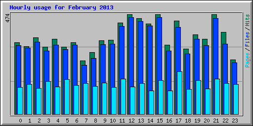 Hourly usage for February 2013