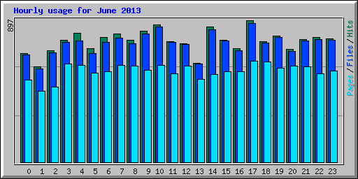 Hourly usage for June 2013