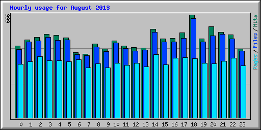 Hourly usage for August 2013