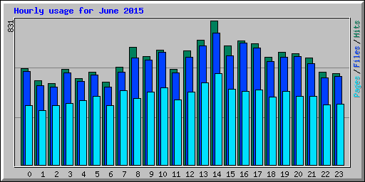 Hourly usage for June 2015