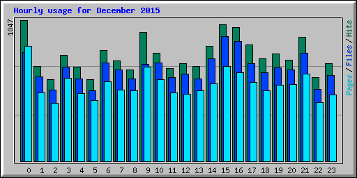 Hourly usage for December 2015