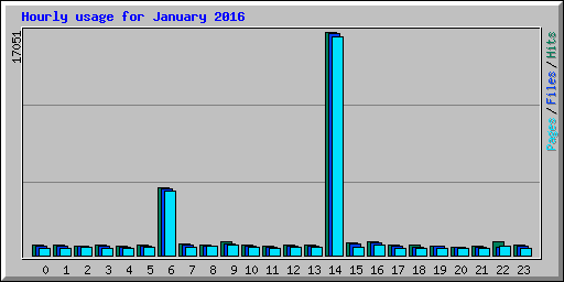 Hourly usage for January 2016