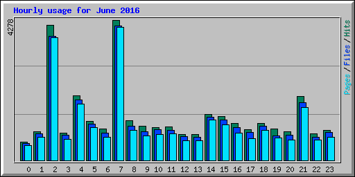 Hourly usage for June 2016