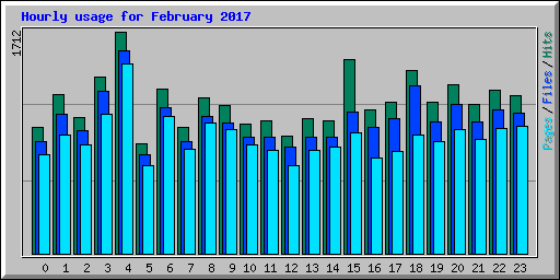 Hourly usage for February 2017